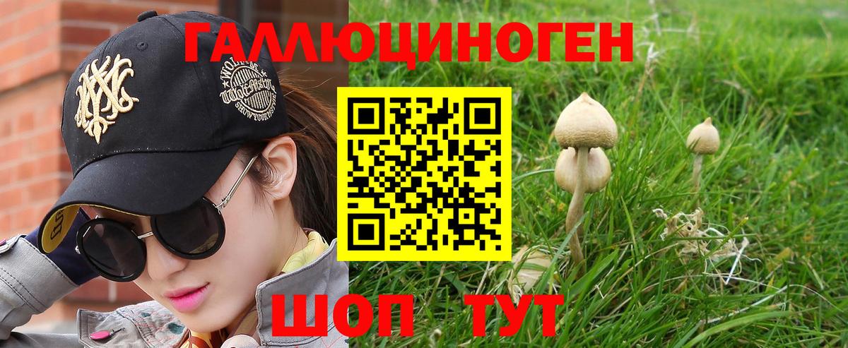 Галлюциногенные грибы Psilocybe  Вход с VPN  Надым 