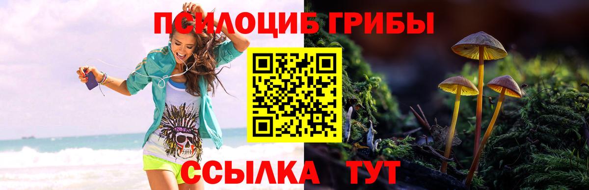 Псилоцибиновые грибы мухоморы Надым